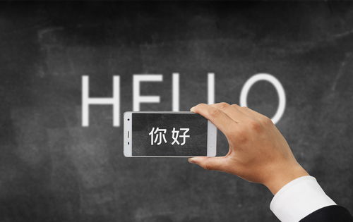 邯鄲軟件定制開發(fā)與外包服務(wù) 以萬(wàn)幫為例的行業(yè)洞察